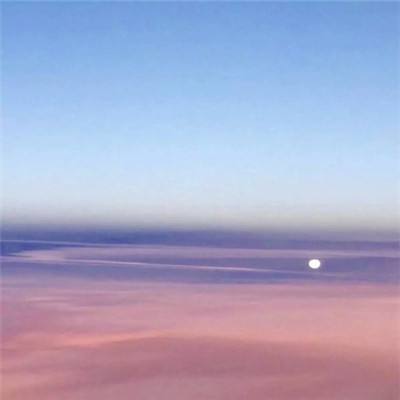超级喵星人中文版下载