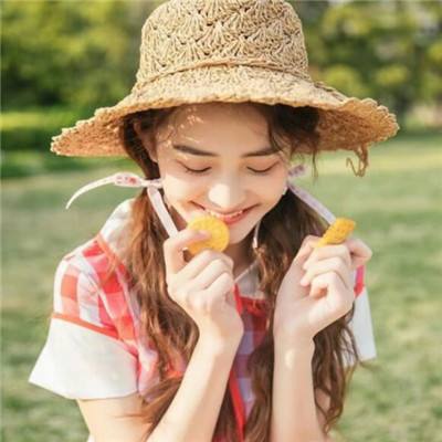 是领主就守一百关游戏下载